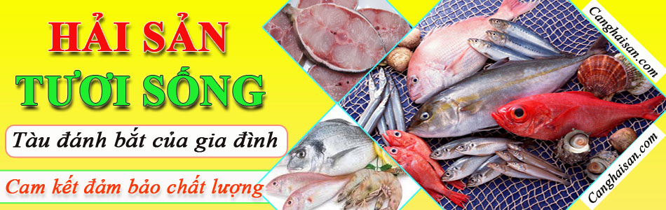 bannercabientuoi1