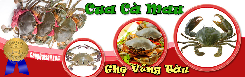 bannercuaghe1