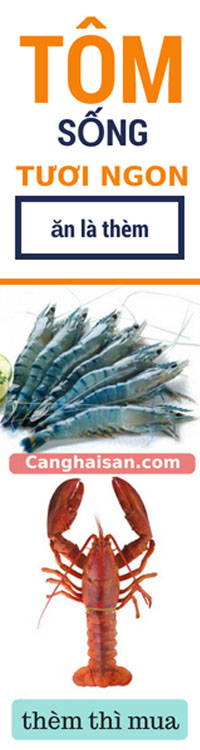 bannertomngon1