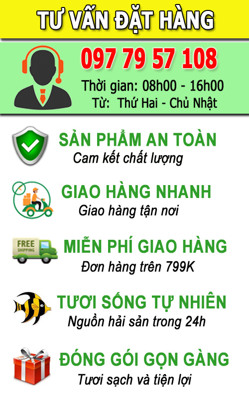 hotrohaisan
